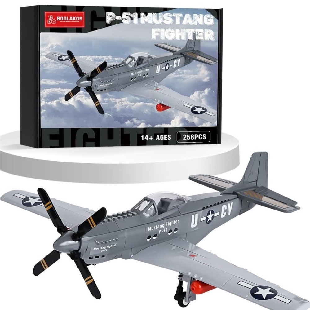 Gray Building Set P-51 Mustang Model Kit